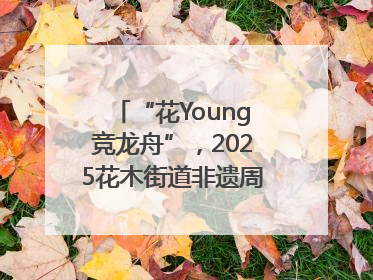 “花Young竞龙舟”，2025花木街道非遗周系列活动举行