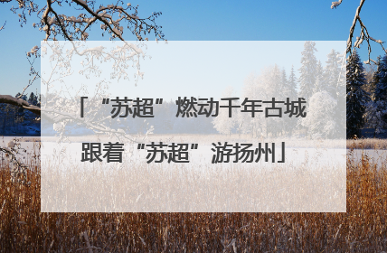 “苏超”燃动千年古城 跟着“苏超”游扬州