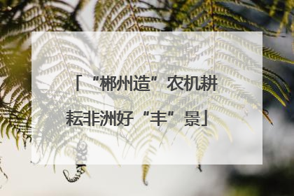 “郴州造”农机耕耘非洲好“丰”景