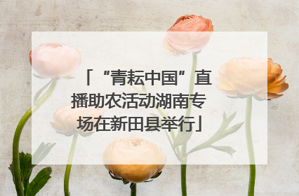 “青耘中国”直播助农活动湖南专场在新田县举行