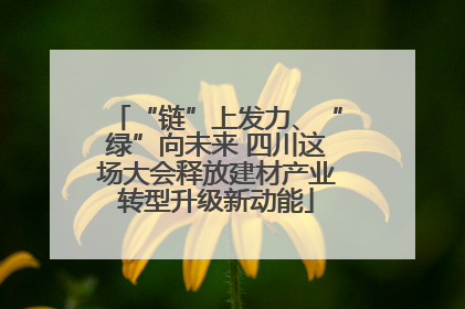 “链”上发力、“绿”向未来 四川这场大会释放建材产业转型升级新动能