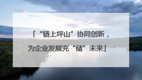 “链上坪山”协同创新，为企业发展充“储”未来