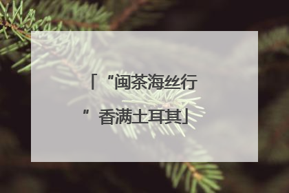 “闽茶海丝行”香满土耳其