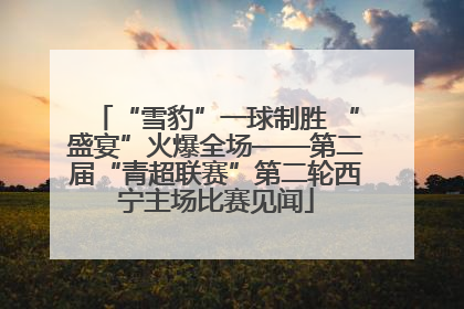 “雪豹”一球制胜 “盛宴”火爆全场——第二届“青超联赛”第二轮西宁主场比赛见闻