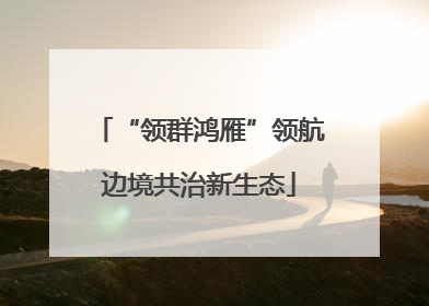 “领群鸿雁”领航边境共治新生态