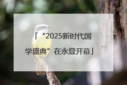 “2025新时代国学盛典”在永登开幕