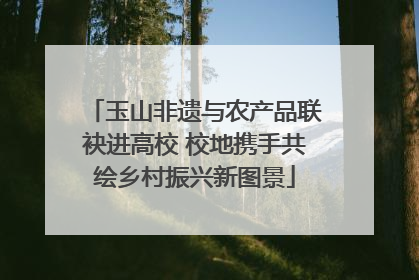 玉山非遗与农产品联袂进高校 校地携手共绘乡村振兴新图景