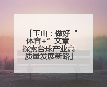 玉山：做好“体育+”文章 探索台球产业高质量发展新路
