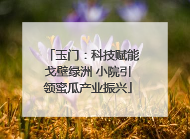 玉门：科技赋能戈壁绿洲 小院引领蜜瓜产业振兴