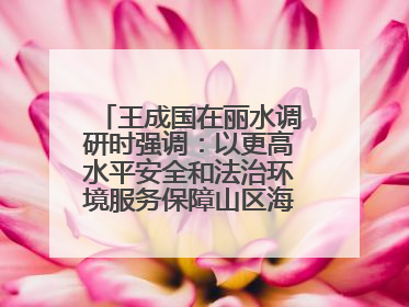 王成国在丽水调研时强调：以更高水平安全和法治环境服务保障山区海岛县高质量发展