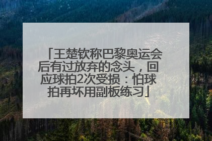 王楚钦称巴黎奥运会后有过放弃的念头，回应球拍2次受损：怕球拍再坏用副板练习