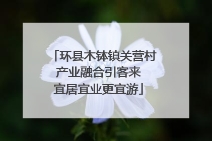 环县木钵镇关营村 产业融合引客来 宜居宜业更宜游