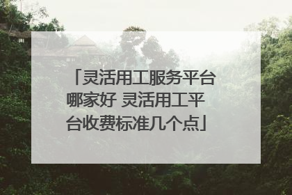 灵活用工服务平台哪家好 灵活用工平台收费标准几个点