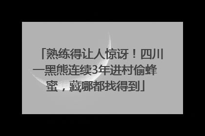 熟练得让人惊讶！四川一黑熊连续3年进村偷蜂蜜，藏哪都找得到