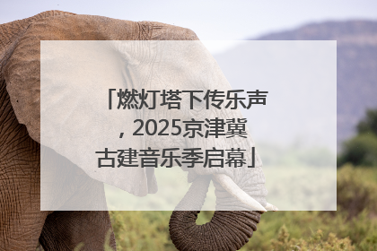 燃灯塔下传乐声，2025京津冀古建音乐季启幕