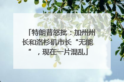 特朗普怒批：加州州长和洛杉矶市长“无能”，现在一片混乱