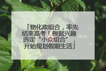 物化政组合，率先结束高考！根据兴趣选定“小众组合”，开始规划假期生活