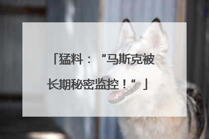 猛料：“马斯克被长期秘密监控！”