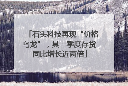 石头科技再现“价格乌龙”，其一季度存货同比增长近两倍