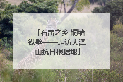 石雷之乡 铜墙铁壁——走访大泽山抗日根据地