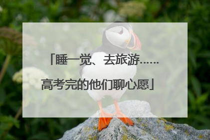 睡一觉、去旅游……高考完的他们聊心愿