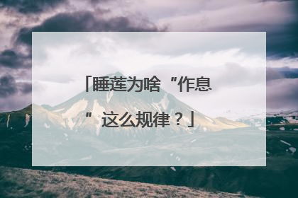 睡莲为啥“作息”这么规律？