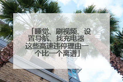睡觉、刷视频、设置导航、找充电器 这些高速违停理由一个比一个离谱