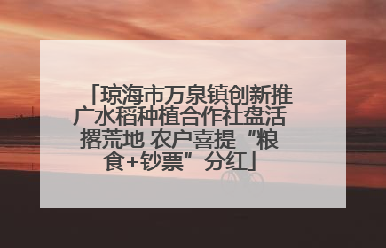 琼海市万泉镇创新推广水稻种植合作社盘活撂荒地 农户喜提“粮食+钞票”分红