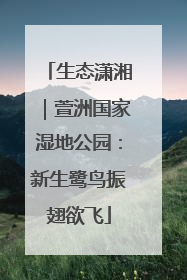 生态潇湘｜萱洲国家湿地公园：新生鹭鸟振翅欲飞