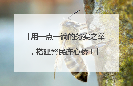 用一点一滴的务实之举，搭建警民连心桥！