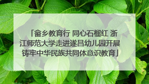 畲乡教育行 同心石榴红 浙江师范大学走进遂昌幼儿园开展铸牢中华民族共同体意识教育