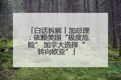 白话拆解丨加总理：依赖美国“极度危险” 加拿大选择“转向欧亚”