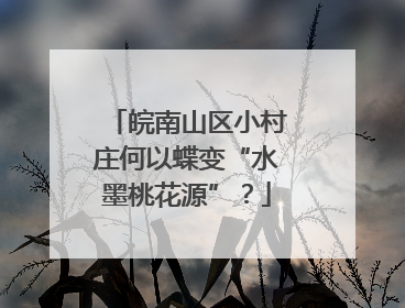 皖南山区小村庄何以蝶变“水墨桃花源”？