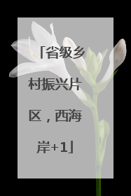 省级乡村振兴片区，西海岸+1