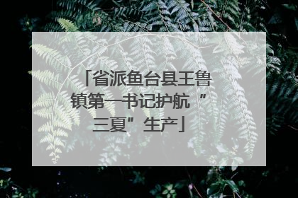 省派鱼台县王鲁镇第一书记护航“三夏”生产
