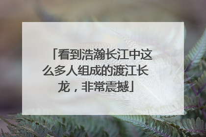 看到浩瀚长江中这么多人组成的渡江长龙，非常震撼
