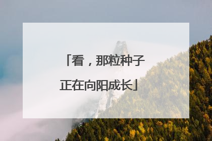 看，那粒种子正在向阳成长