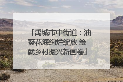 禹城市中街道：油葵花海绚烂绽放 绘就乡村振兴新画卷