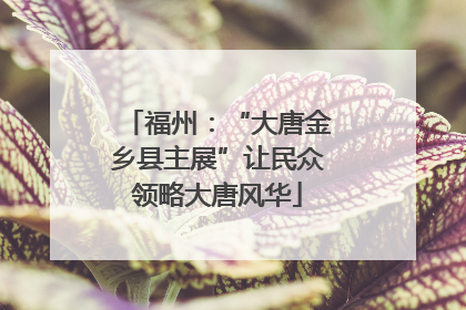 福州：“大唐金乡县主展”让民众领略大唐风华