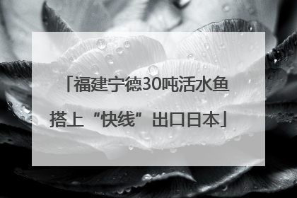 福建宁德30吨活水鱼搭上“快线”出口日本