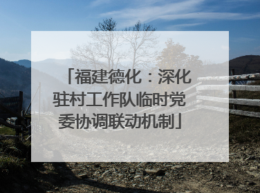 福建德化：深化驻村工作队临时党委协调联动机制