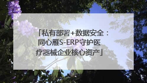 私有部署+数据安全：同心雁S-ERP守护医疗器械企业核心资产