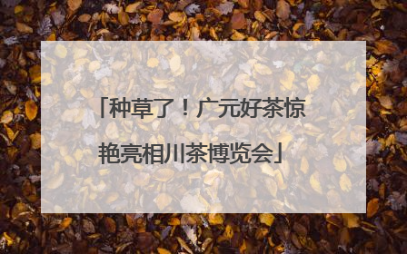 种草了！广元好茶惊艳亮相川茶博览会
