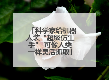 科学家给机器人装“超级仿生手” 可像人类一样灵活抓取