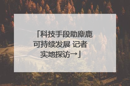 科技手段助麋鹿可持续发展 记者实地探访→