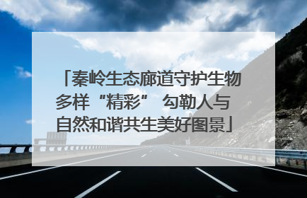 秦岭生态廊道守护生物多样“精彩” 勾勒人与自然和谐共生美好图景