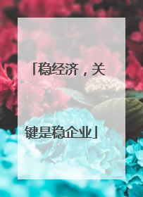 稳经济，关键是稳企业