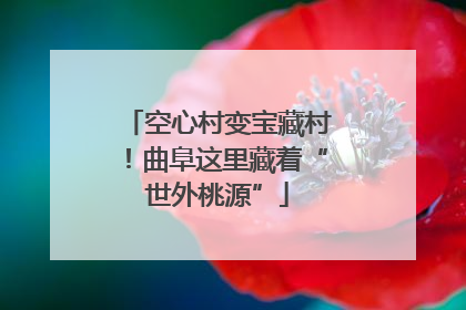 空心村变宝藏村！曲阜这里藏着“世外桃源”