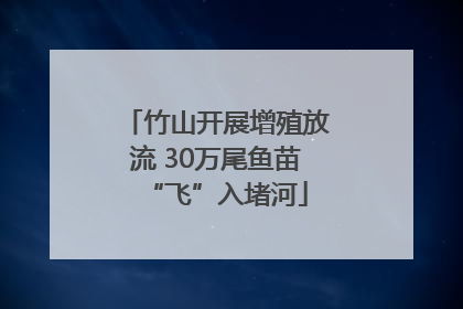 竹山开展增殖放流 30万尾鱼苗“飞”入堵河