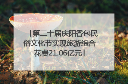 第二十届庆阳香包民俗文化节实现旅游综合花费21.06亿元